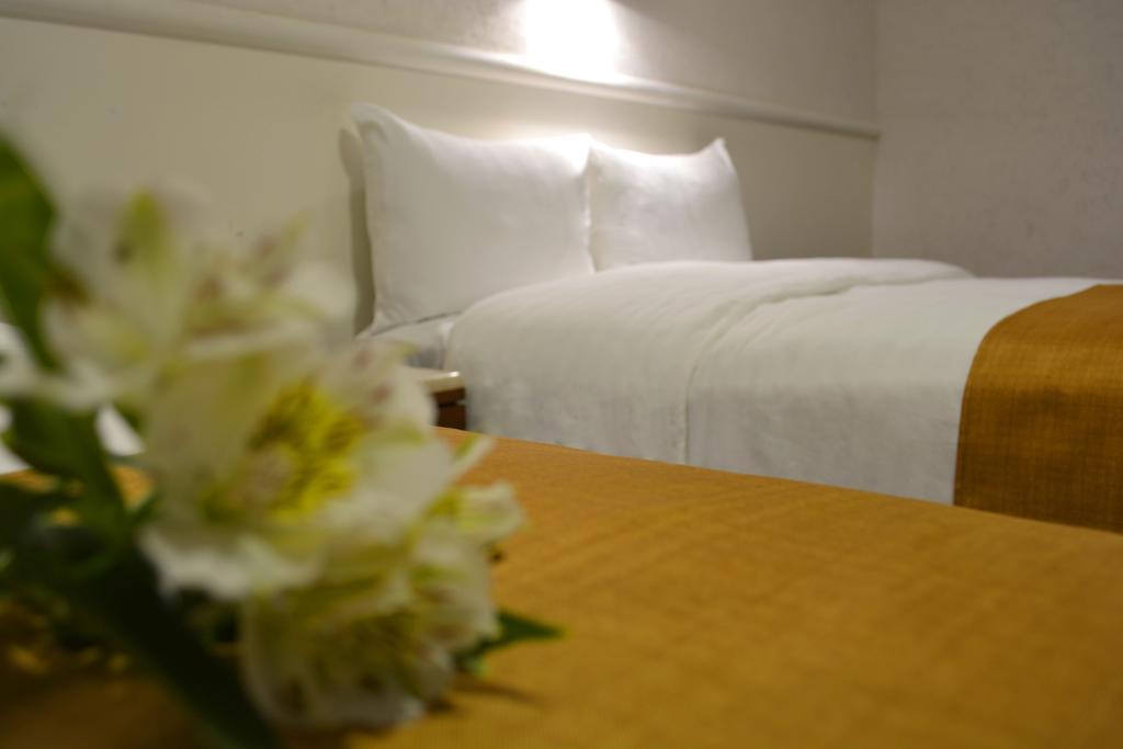Eco Express Hotel Zamora Самора-де-Ідальґо Екстер'єр фото